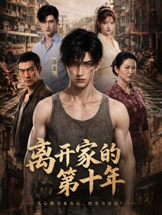 离开家的第十年-动漫合集海报