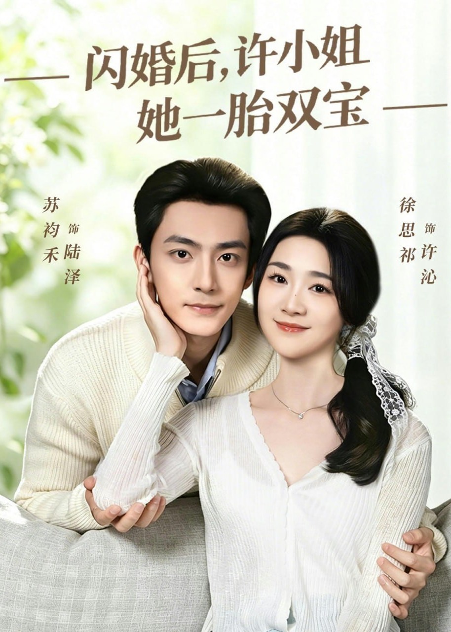 闪婚后许小姐她一胎双宝-都市爱情