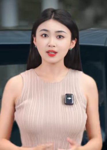 一纸罚单全司停摆-动漫合集
