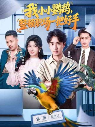 我小小鹦鹉整顿职场一把好手-动漫合集