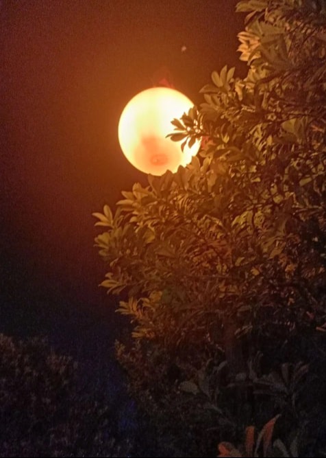 她的记忆只对我失忆-动漫合集