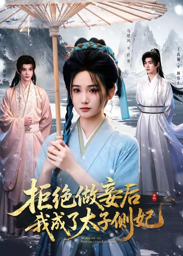 拒绝做妾后我成了太子侧妃-古风言情