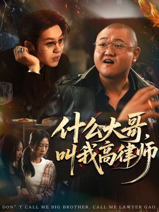 什么大哥叫我高律师-都市法律