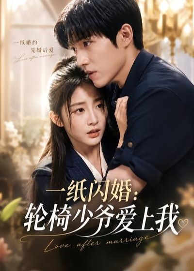 一纸闪婚轮椅少爷爱上我-动漫合集