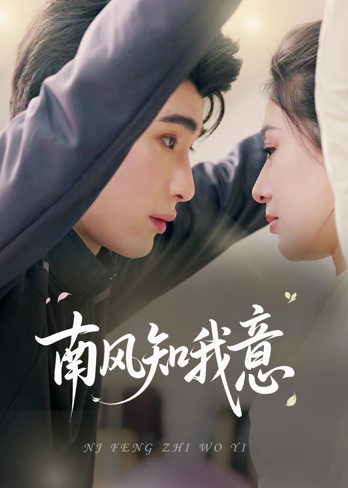南风知我意-都市言情