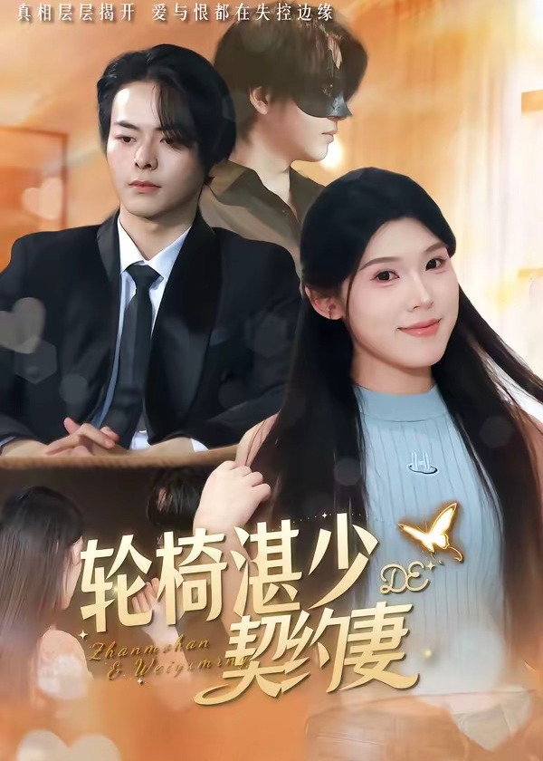 轮椅湛少的契约妻-都市言情