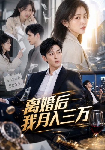 离婚后我月入三万-动漫合集