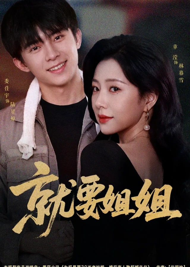就要姐姐-动漫合集海报图片