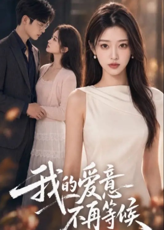 我的爱意不再等候-现代言情