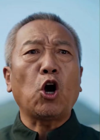 是你们逼我撤掉蜜蜂防线的-动漫合集海报