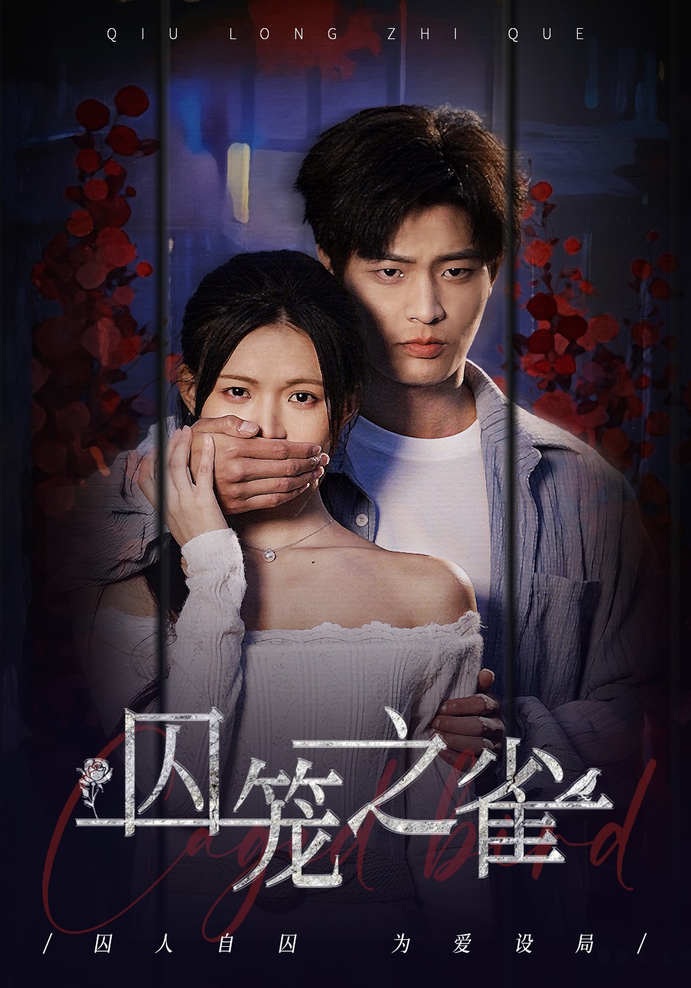 囚笼之雀-都市言情海报