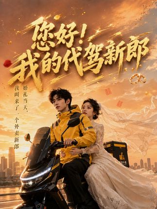 您好我的代驾新郎-动漫合集海报