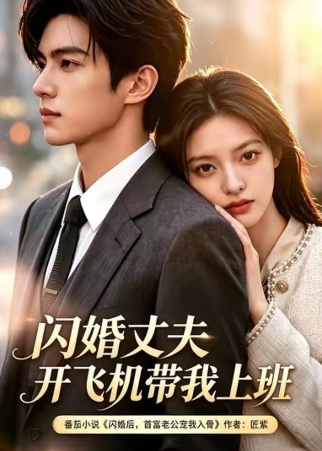 第三季婚丈夫开飞机带我上班-动漫合集海报