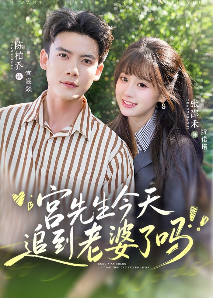 宫先生今天追到老婆了吗-都市言情海报