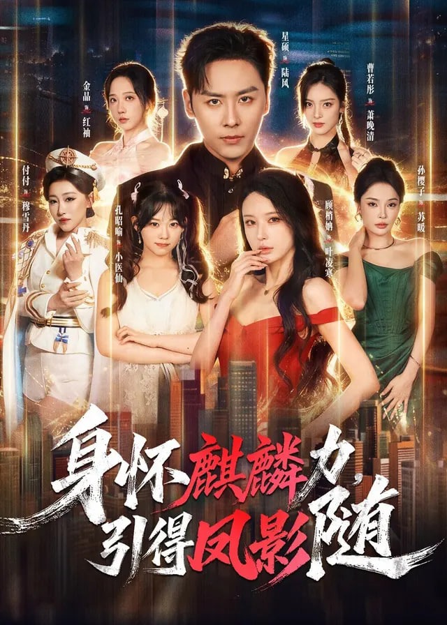 身怀麒麟力引得凤影随-动漫合集海报