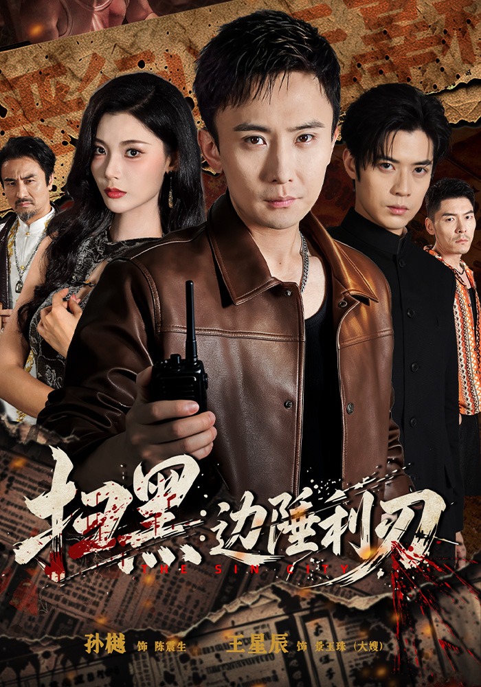 扫黑边陲利刃-都市日常海报