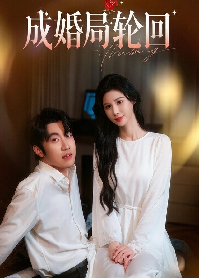 成婚局轮回-动漫合集