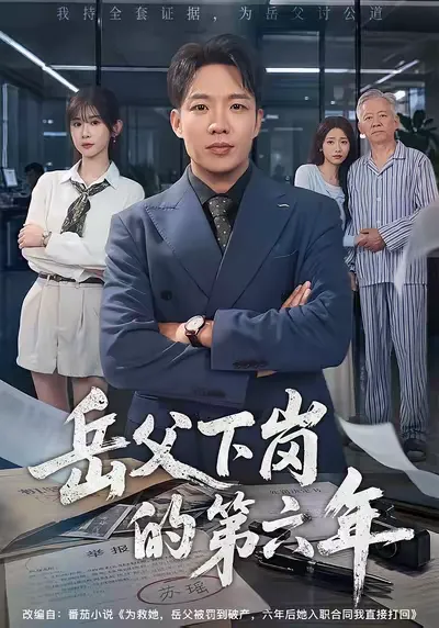 岳父下岗的第六年-动漫合集