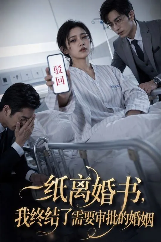 一纸离婚书我终结了需要审批的婚姻-动漫合集