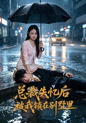 总裁失忆后被我锁在别墅里-动漫合集