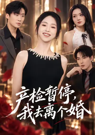 产检暂停我去离个婚-动漫合集