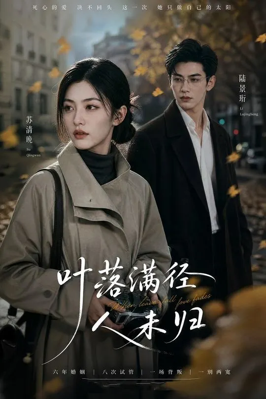 叶落满径人未归-动漫合集