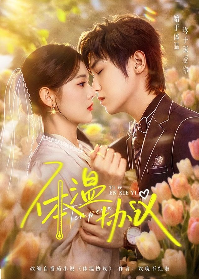 但愿婚长久-动漫合集海报