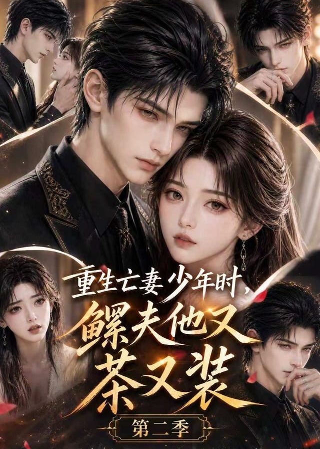 第二季重生亡妻少年时鳏夫他又茶又装-动漫合集海报