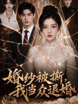 婚纱被撕我当众退婚-动漫合集