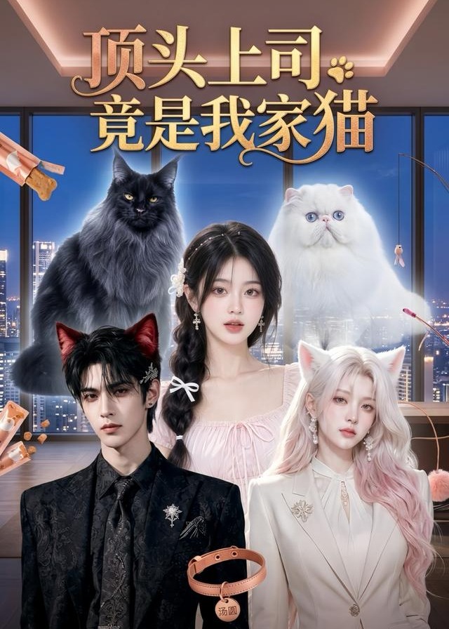 顶头上司竟是我家猫-动漫合集