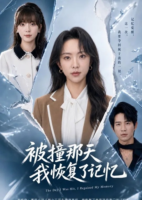 被撞那天我恢复了记忆-动漫合集海报