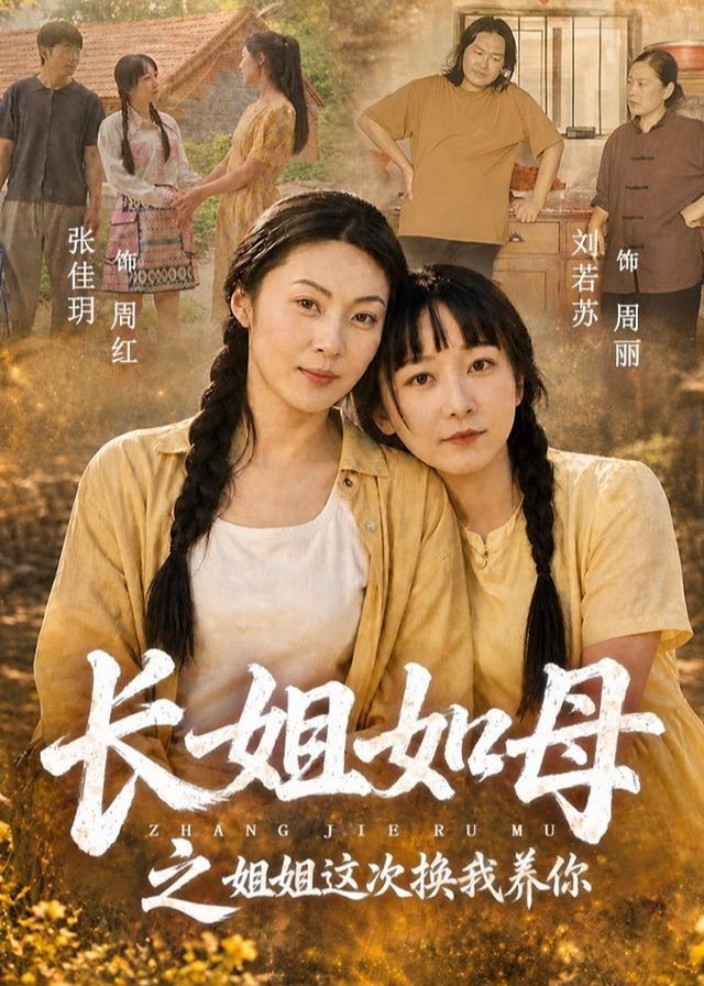 长姐如母之姐姐这次换我养你-女性成长海报