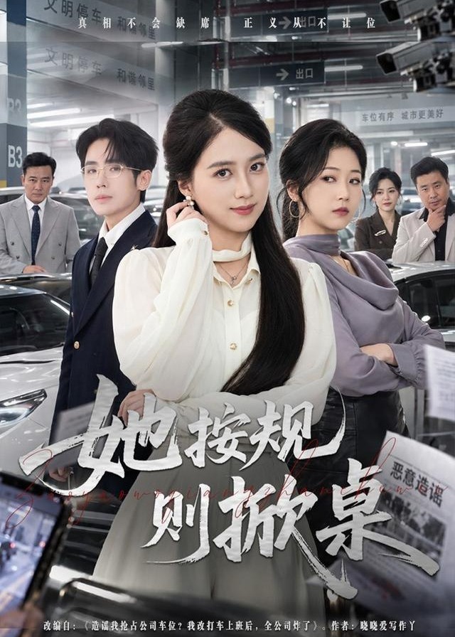 她按规则掀桌-都市日常海报