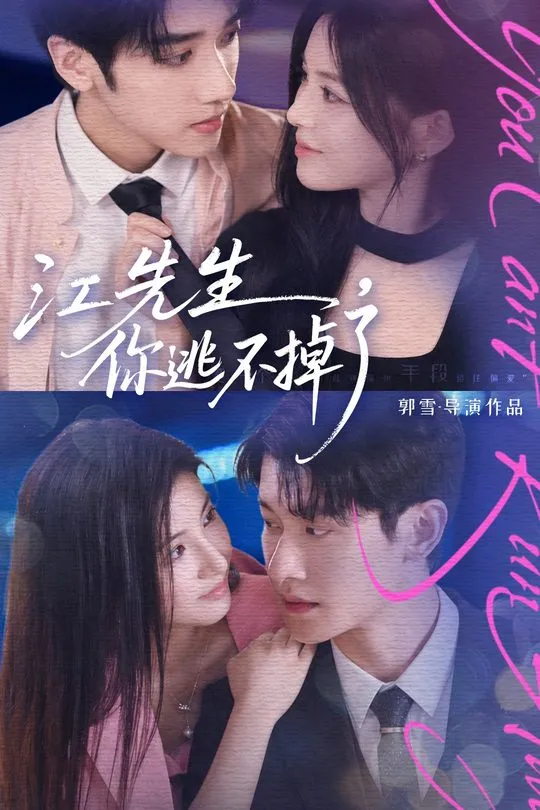 江先生你逃不掉了-都市言情海报