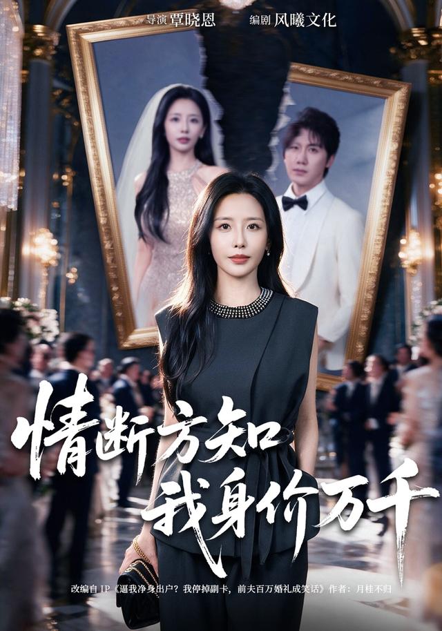 情断方知我身价万千-动漫合集海报