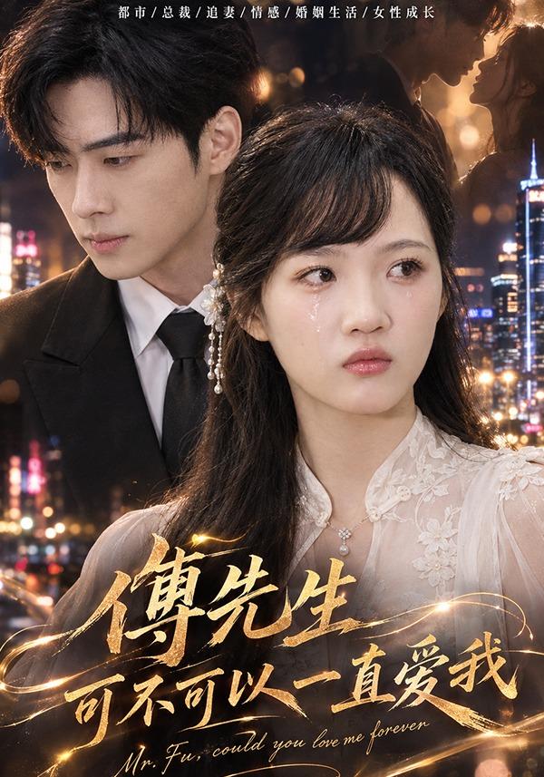 傅先生可不可以一直爱我-都市言情海报