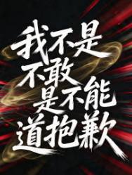 我不是不敢是不能道歉-都市情感海报