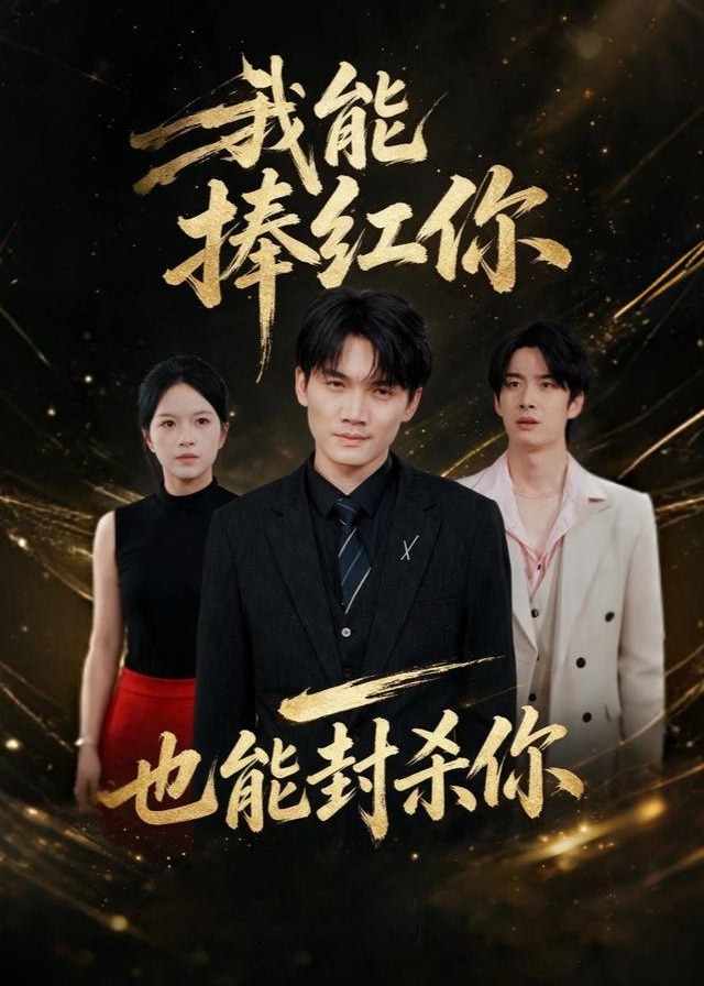 我能捧红你也能封杀你-都市日常海报