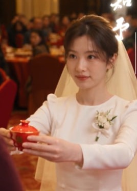 婚宴上未接的敬茶-动漫合集