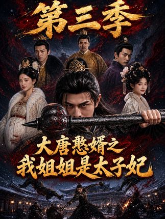 第三季大唐憨婿之我姐姐是太子妃-动漫合集