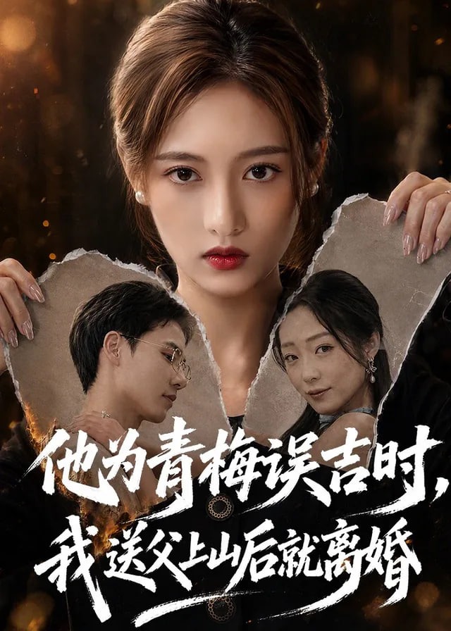 他为青梅误吉时我送父上山后就离婚-动漫合集