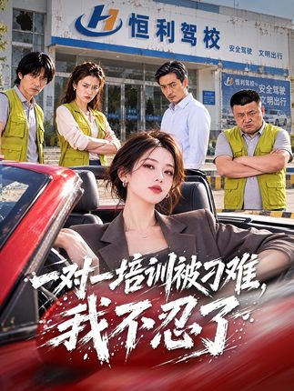 一对一培训被刁难我不忍了-动漫合集海报