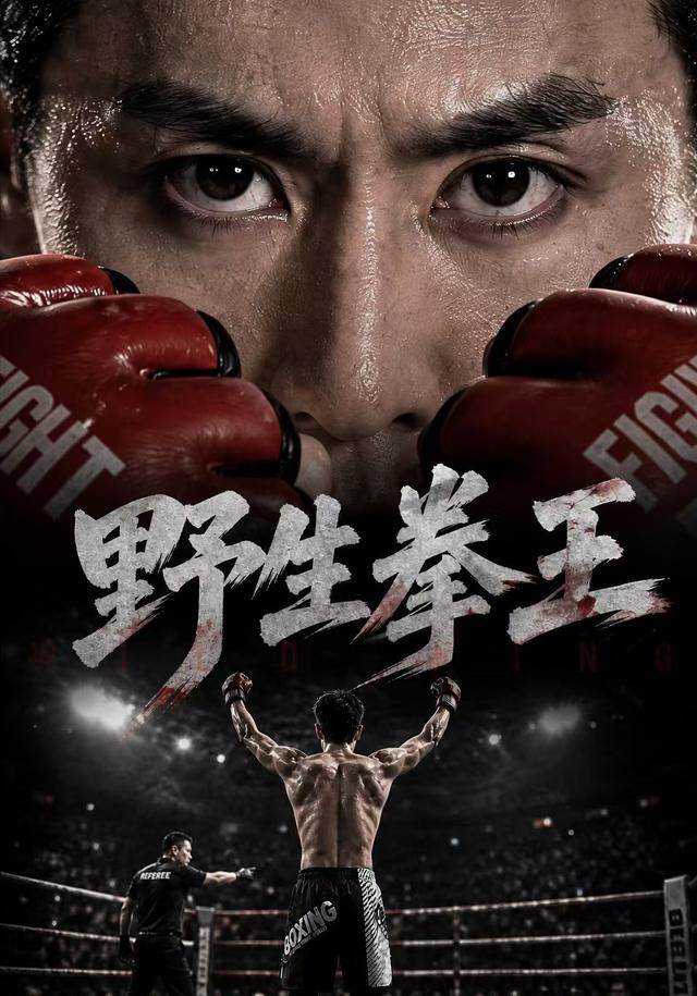 野生拳王-动漫合集