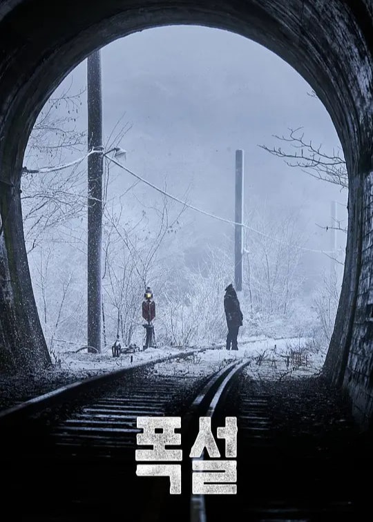 暴雪2026海报