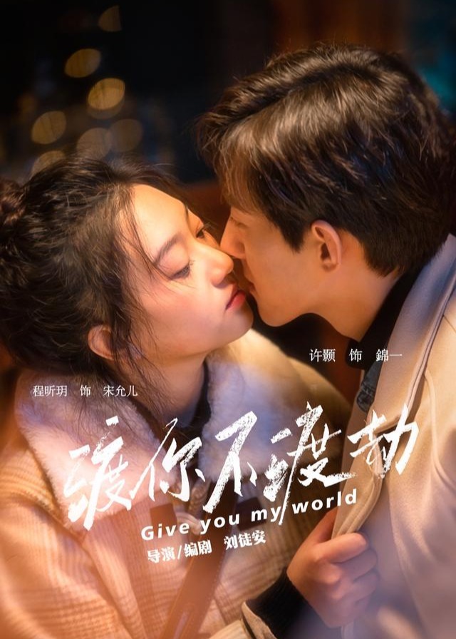 渡你不渡劫-都市言情海报