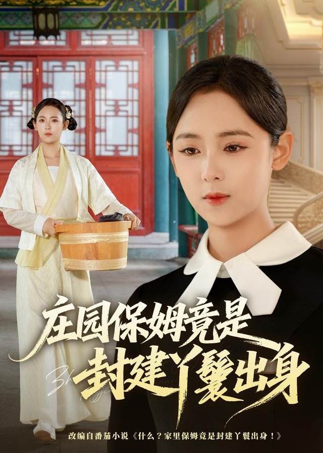 庄园保姆竟是封建丫鬟出身-都市言情海报