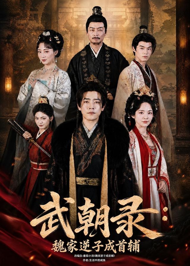 武朝录魏家逆子成首辅-古代权谋海报