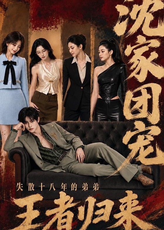 沈家团宠失散十八年的弟弟王者归来-动漫合集海报