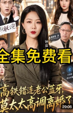 高铁错连老公蓝牙莫太太高调离婚了-都市情感