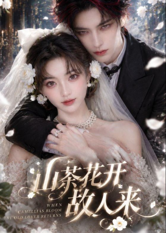 山茶花开故人来-动漫合集